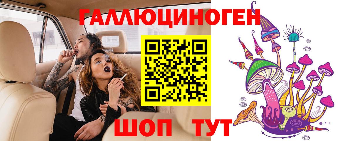 Галлюциногенные грибы Psilocybe Лыткарино