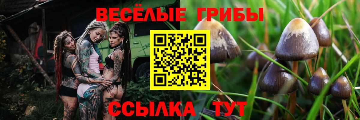 Псилоцибиновые грибы мухоморы  Галлюциногенные грибы MAGIC MUSHROOMS  Лыткарино  Вход с VPN 